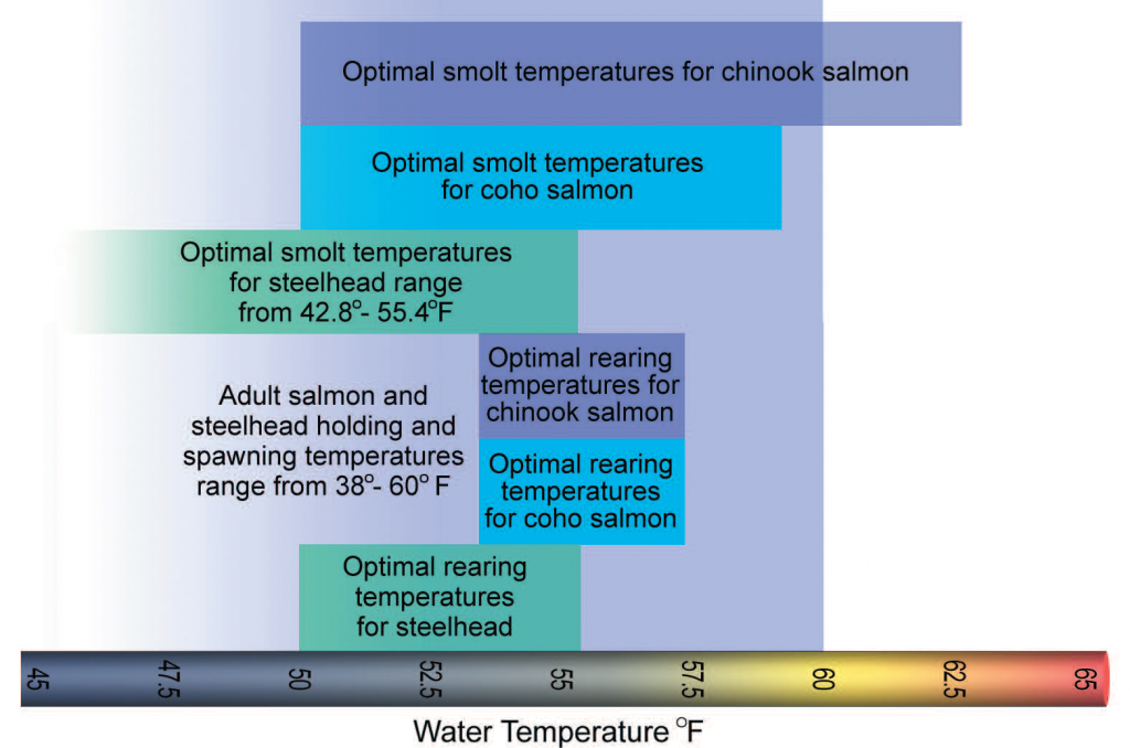 Temperature for fish