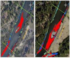 Habitat assessment from Lowden Ranch Rehabilitation site.