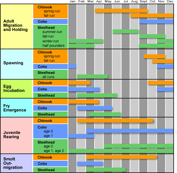 fish resources