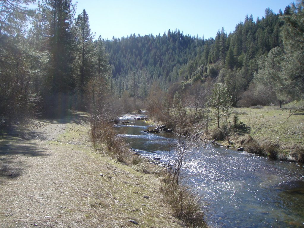 Sawmill site in Lewiston area showing the side channel before channel rehabilitation, March 2008.