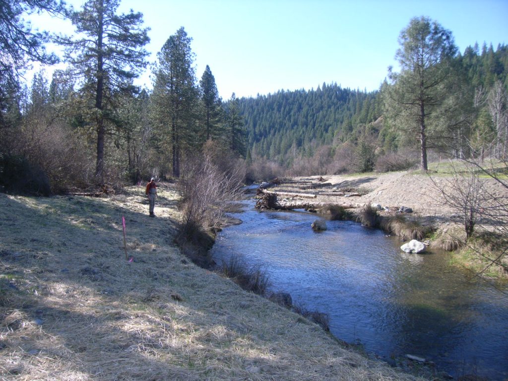 Sawmill site in Lewiston area showing the side channel just after channel rehabilitation, photographed February 2010.