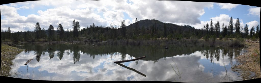 Bucktail channel rehabilitation site, large wetland along a side channel. Constructed summer of 2016, photographed April 2017.