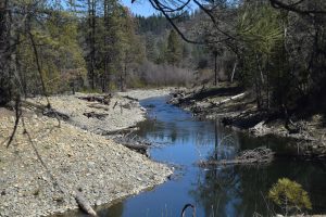 Bucktail channel rehabilitation site, side channel above wetland. Constructed summer of 2016, photographed March 2018.