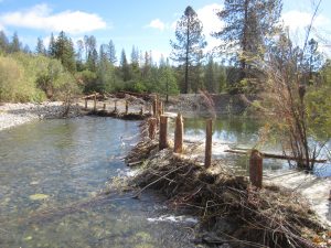 Bucktail channel rehabilitation site, at the artificial beaver dam (or 'beaver dam analog') that supports a wetland along a side channel. Photographed 2016 shortly after construction.