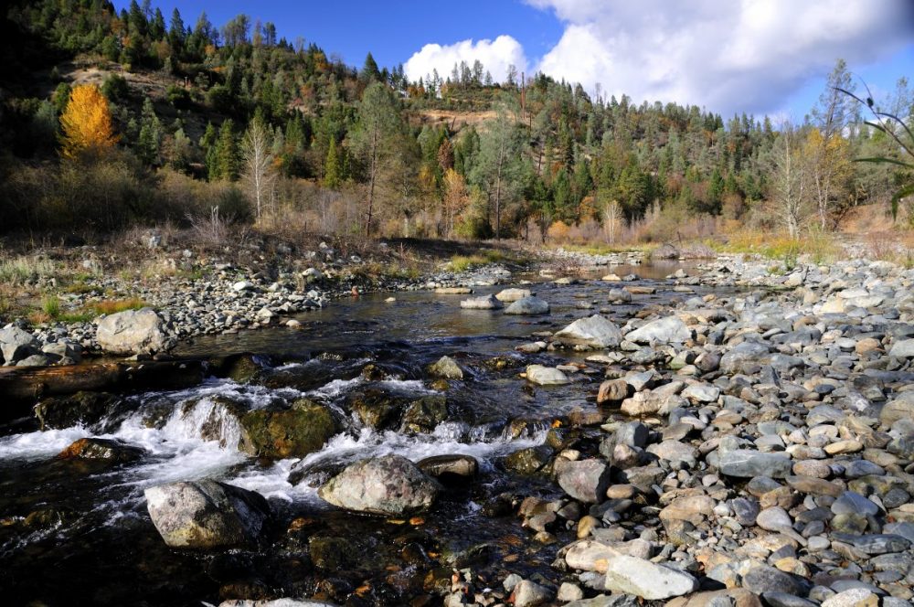 The Sven-Olbertson Channel Rehabilitation Site completed in 2008.