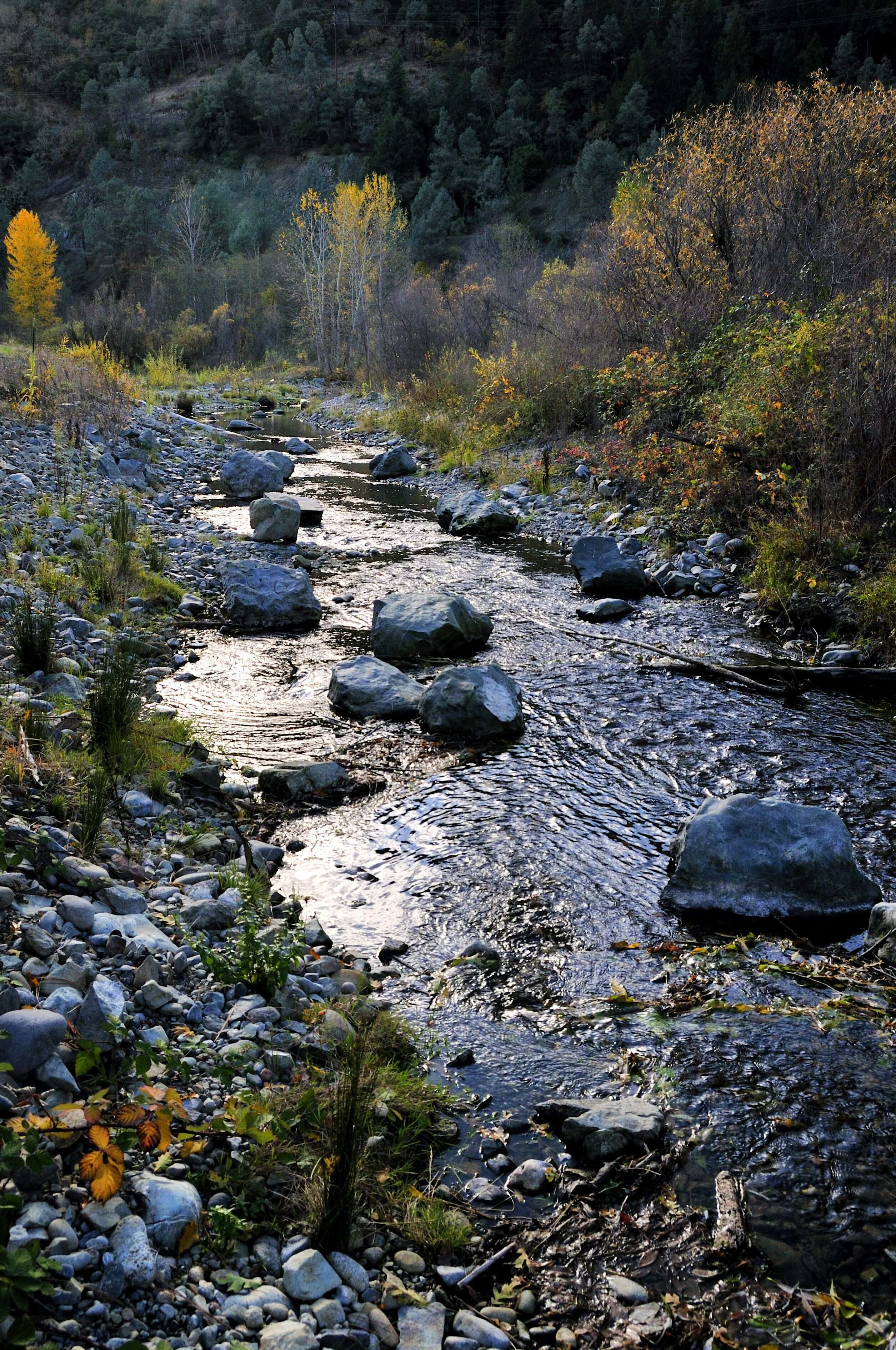 Photo by Kenneth DeCamp, purchased by the USBR Trinity River Restoration Program.