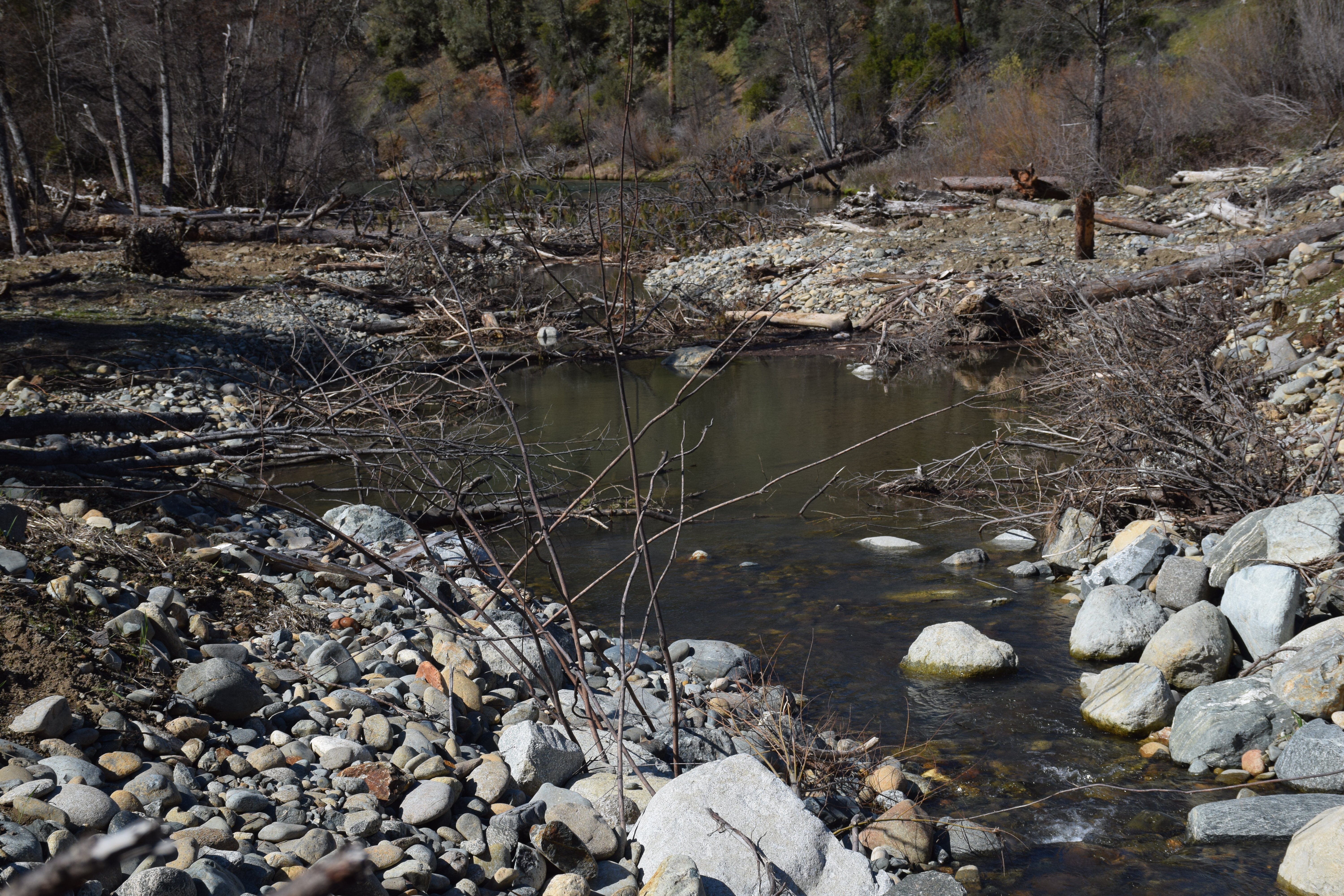 Bucktail channel rehabilitation site, small side channel and alcove habitats. Constructed summer of 2016, photographed March 2017.
