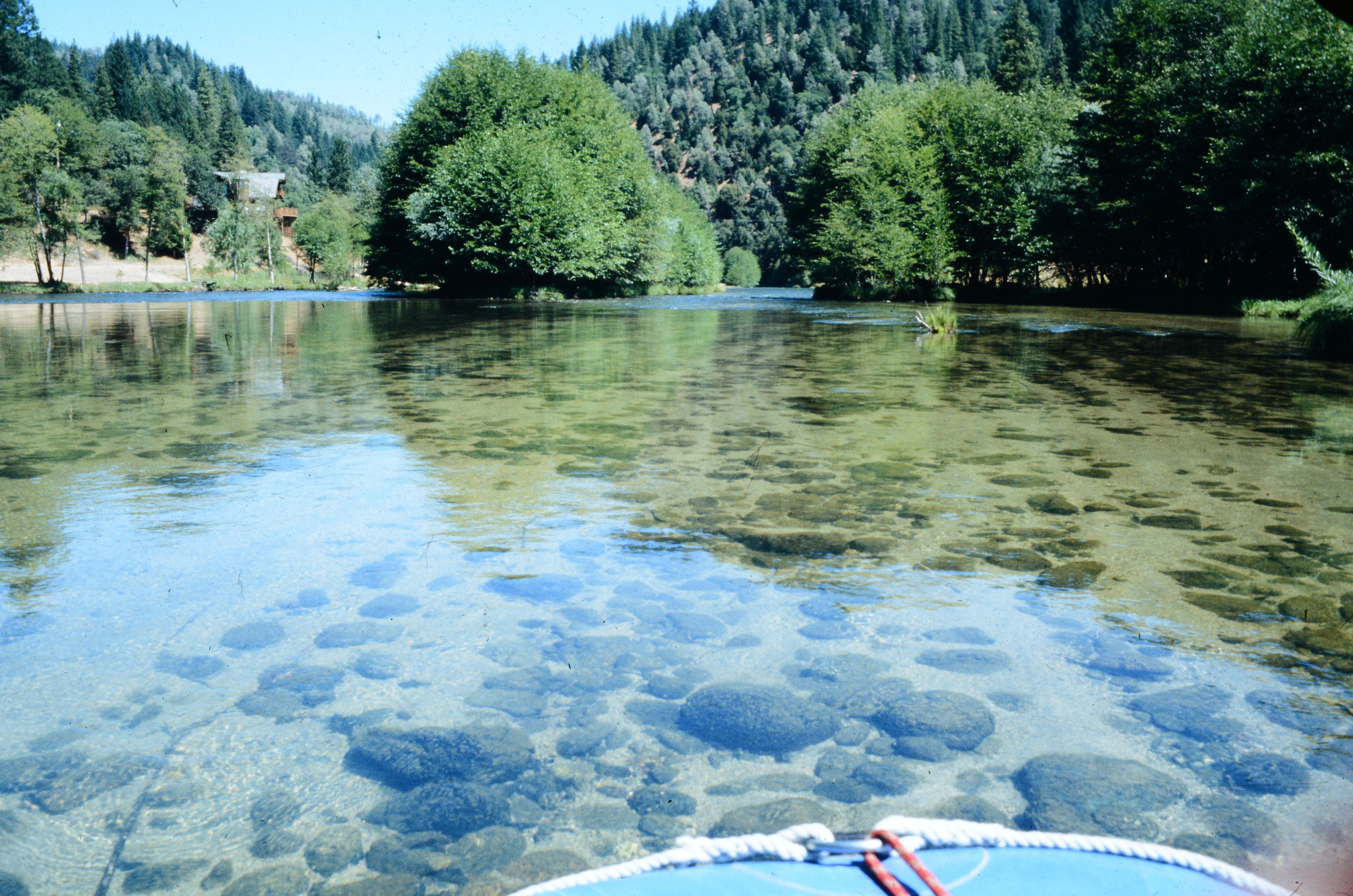 Photo from collection of Russ Smith showing sand smothering the bed of the Trinity River at Poker Bar (and uniformity of riparian vegetation) around 1989, before TRRP Restoration Flows.