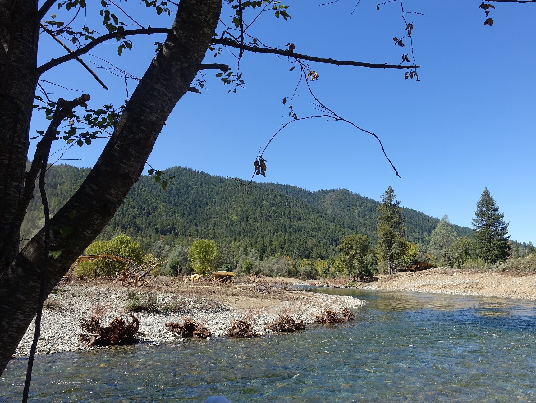 Chapman Ranch Phase A channel restoration project