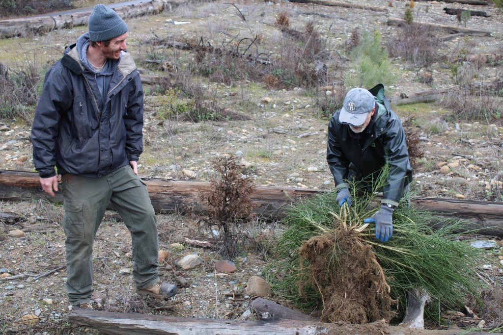 Bucktail restoration site, 2021, invasive species pull (photo by TCRCD).