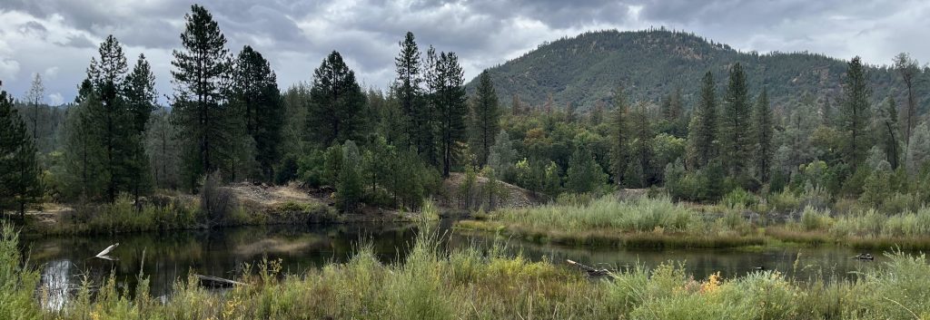 Bucktail restoration site post-restoration (photo by Veronica Yates, Hoopa Valley Tribe)