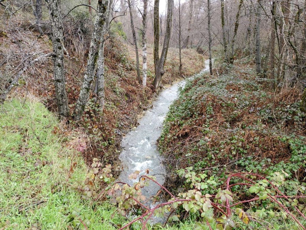 The Yurok Tribe has been awarded funding to design and work through compliance for replacement of the Sky Ranch Road culvert on Oregon Gulch. (Elliot Sarnacki, Reclamation)