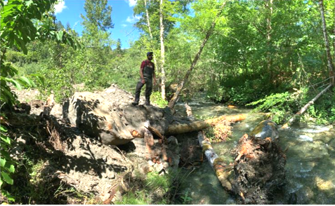 A Hoopa Tribal Fisheries employee looks over a large wood installation at Supply Creek. (Justin Alvarez, Hoopa Valley Fisheries Department)