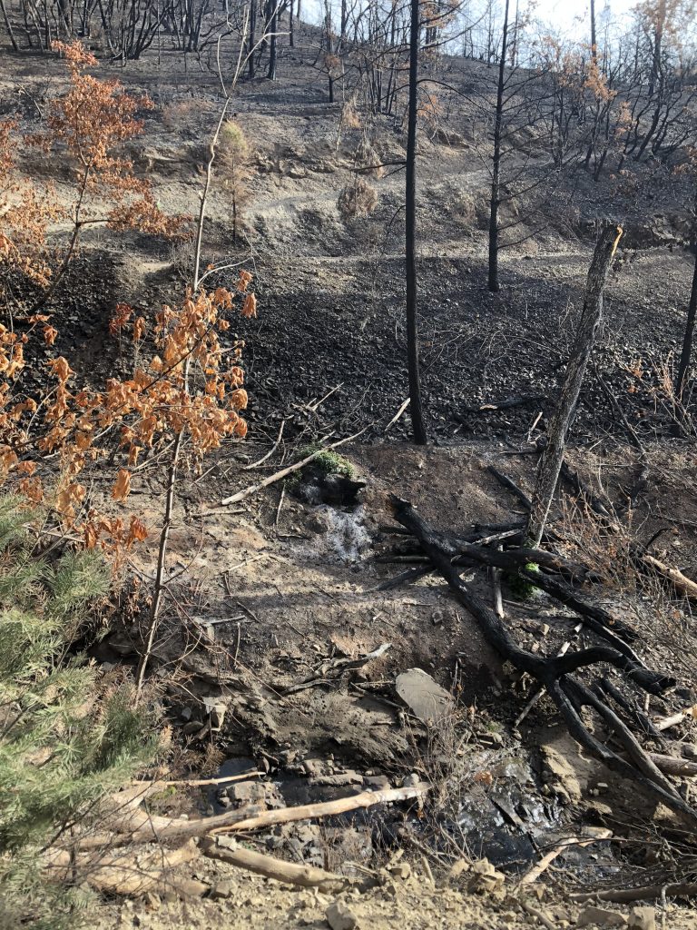 A photo of Deadwood Creek after the Carr Fire. 