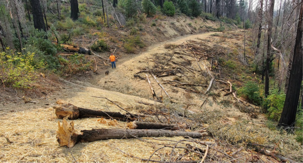 Restoring the lands that surround the Trinity River is an important part of system restoration. [Trinity County Resource Conservation District] 